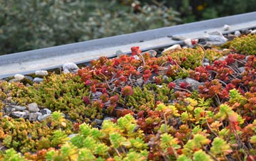 the cost of Chaddlehanger green roof installation